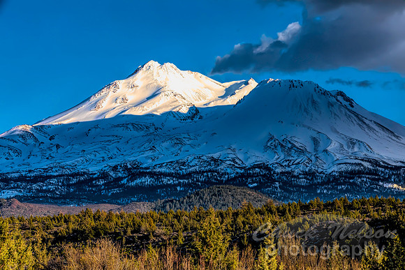 699 - E75A0763 MT SHASTA (1:1.5)