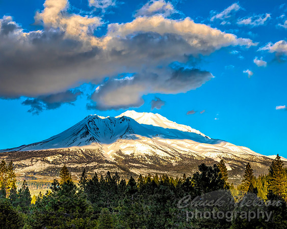 701B - MT SHASTA WITH CLOUDS  (1:1.25)