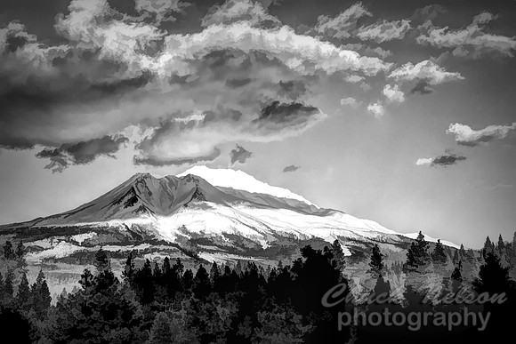 701D - E75A0774 MT SHASTA TS BW2 (1:1.5)