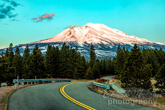 #703A - ROAD TO  SHASTA (1:1.5)