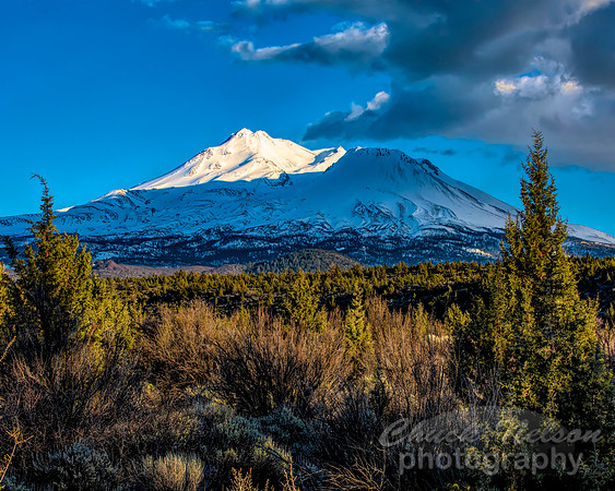 #698B - MT SHASTA (1:1.25)