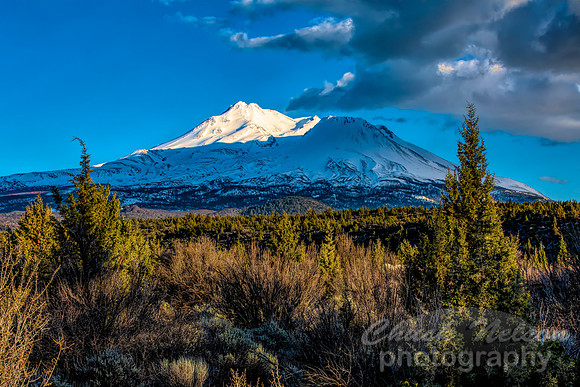 #698A - MT SHASTA (1:1.5)