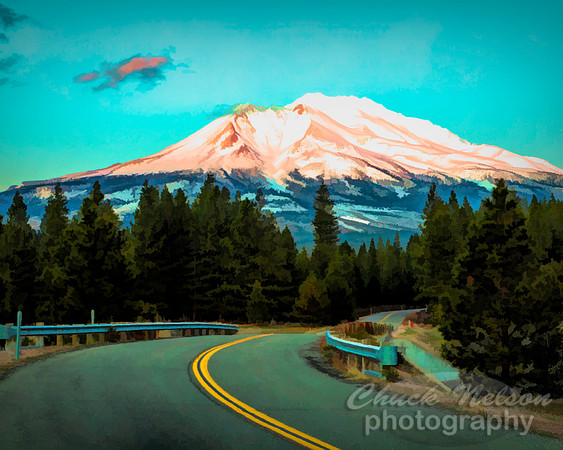 #703C - ROAD TO  SHASTA TS (1:1.25)