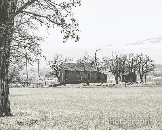 #697A - ABANDONED HOUSE BW3 (1:1.25)