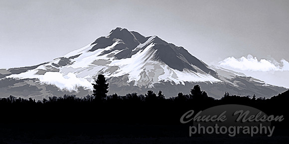 #694E - MT SHASTA ABSTRACT BW (1:2)