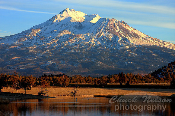 #203 - MT SHASTA IN LATE AFTERNOON SUN (1:1.5)
