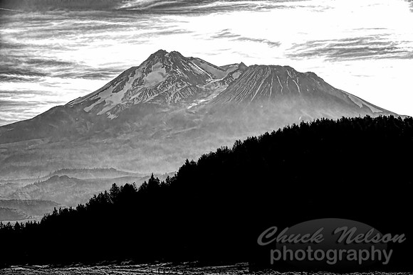 #704 - MT SHASTA BW (8X12)