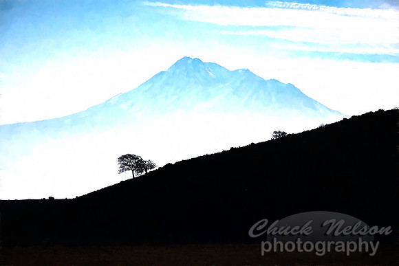 #705B - MT SHASTA WITH TREE SILHOUETTE TI1 (1:1.5)