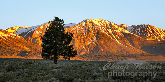 #707B - SIERRA SUNRISE TD (10x20)