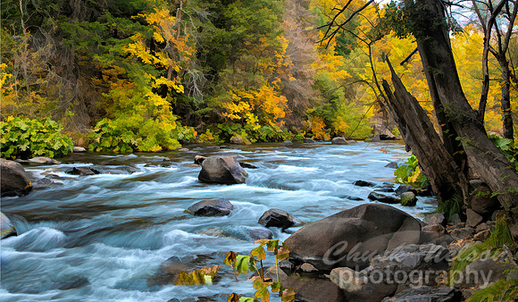 #672E - SACRAMENTO RIVER - PAINTERLY 1.5in_10X20_GalleryWrap