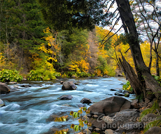 #672D - SACRAMENTO RIVER - PAINTERLY 1.5in_16x20_GalleryWrap