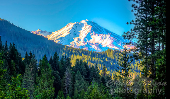#708G - MT SHASTA HDR GW (10x20)