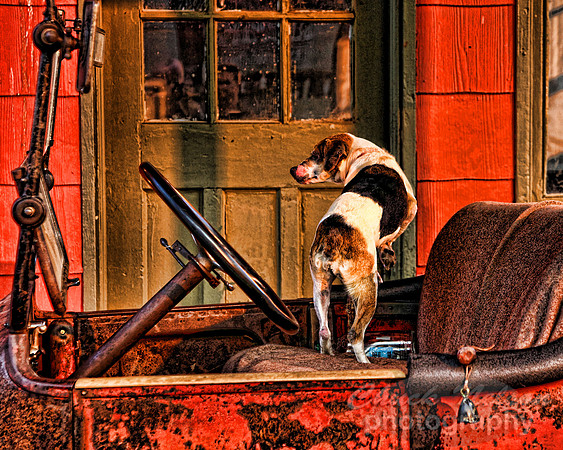 #148D - 1915 DODGE AND DOG - T (1:1.25)