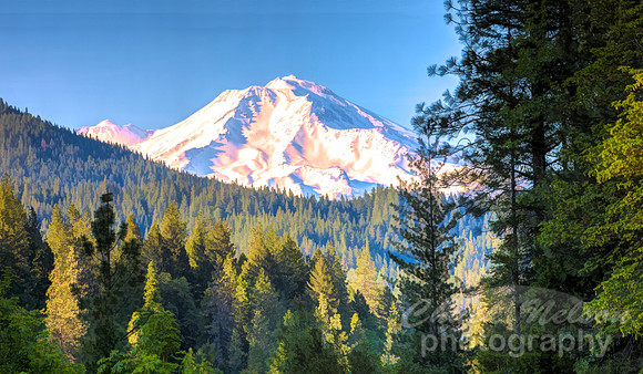 #715F - MT SHASTA HDR PAINTERLY (10X20) GW