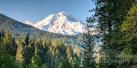 #715C - MT SHASTA HDR (1:2)