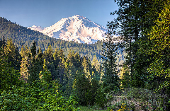 #715A - MT SHASTA HDR (1:1.5)