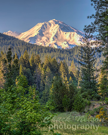 #716B - MT SHASTA HDR (1:1.25)