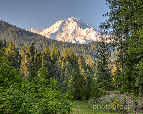 #717B - MT SHASTA HDR (1:1.25)