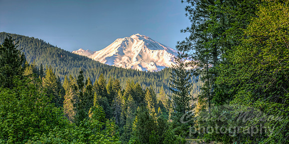 #717C - MT SHASTA HDR (1:2)