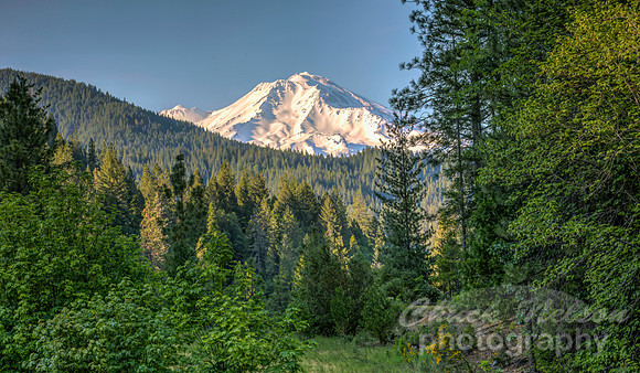 #717E - MT SHASTA HDR (1:2) GW