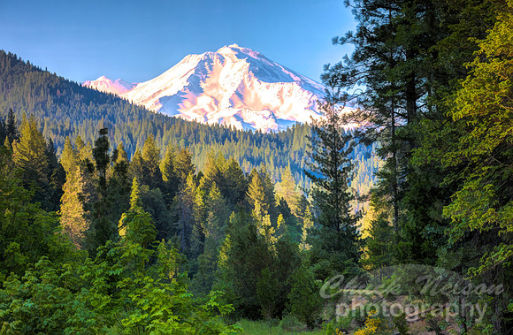 #715D - MT SHASTA HDR PAINTERLY (1:1.5)