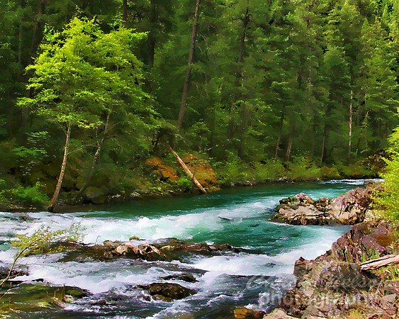 #220 - McCLOUD RIVER #1 - TS (1:1.25)