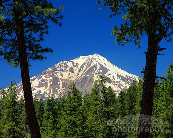 #229A - MT SHASTA NEAR McCLOUD #2 (1:1.25)