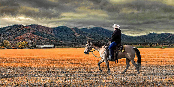 308E - RIDER BENEATH A SISKIYOU SKY HDR TA (1:2).jpg