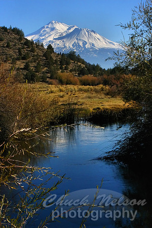 #45 - SHASTA ABOVE THE SHASTA (1:1.5)