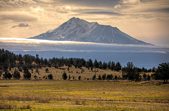 #719 - MT SHASTA FROM NELSON RANCH - HDR (1:1.5)