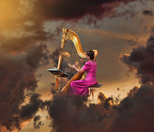 #297B - HARPIST #6 TA TC (1:1.25 gallery wrap).jpg