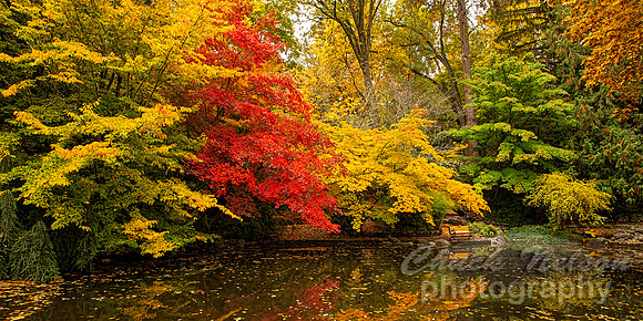 #727 - AUTUMN COLORS TC (1:2)