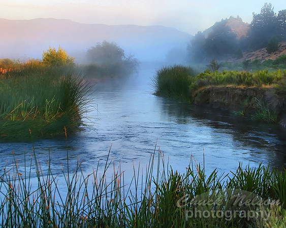 #51 - MISTY SHASTA MORNING  (1:1.25)