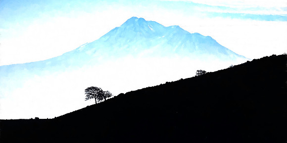 MT SHASTA WITH TREE SILHOUETTE (1:2)