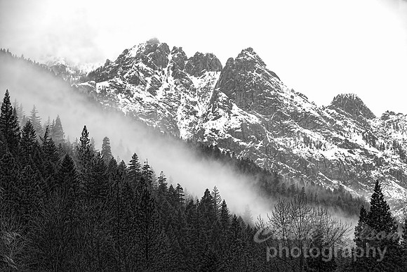 #737 - CASTLE CRAGS  TDBW (1:1.5)
