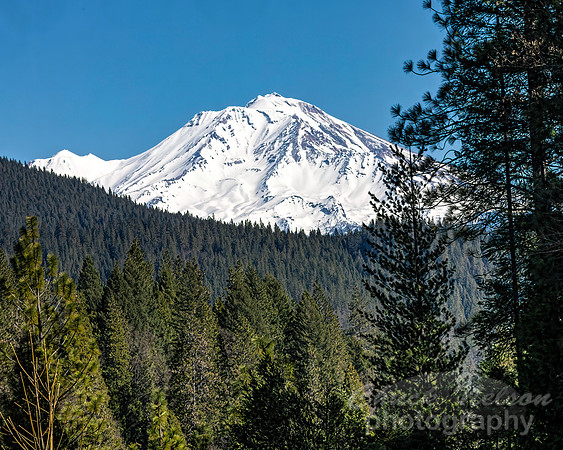#740B - MT SHASTA (1:1.25)