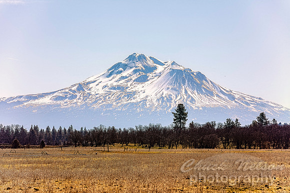 #742A - MT SHASTA (1:1.5)
