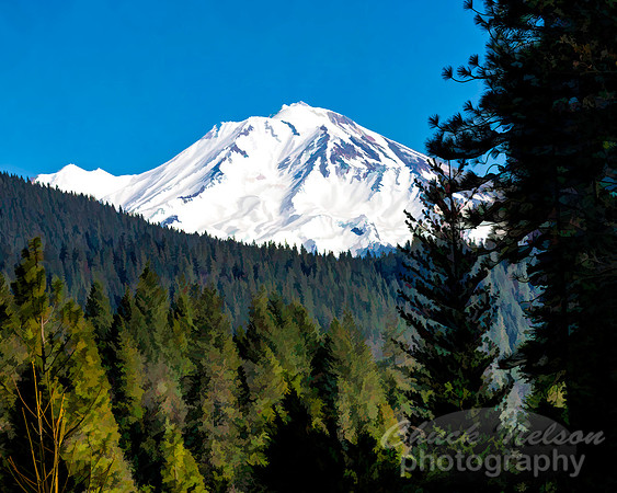 #740C - MT SHASTA TS - PAINTERLY (INDIAN FACE) (8X10)