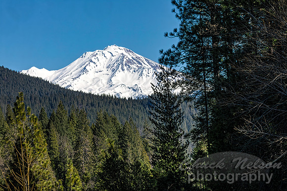 #740A - MT SHASTA (1:1.5)