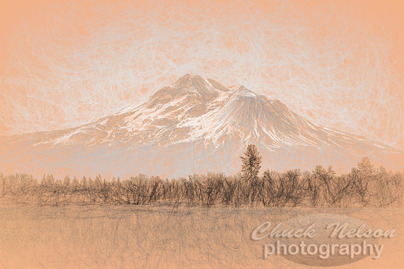 #742B - MT SHASTA TI - SKETCH