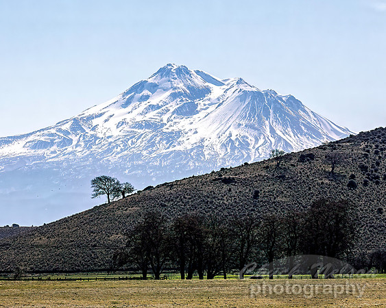 #743A - MT SHASTA (1:1.25)