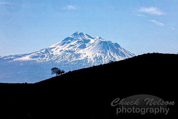 #744A - MT SHASTA HDR TD (1:1.5)