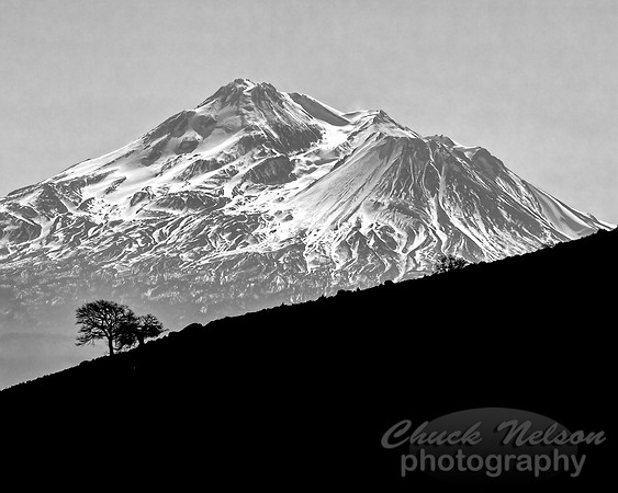 #744D - MT SHASTA HDR TDBW (1:1.25)