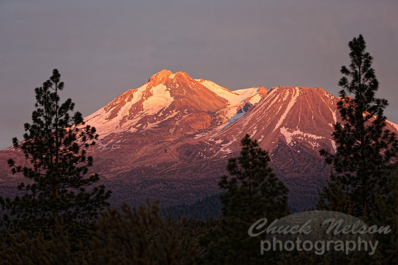 #533 - MT SHASTA SUNSET TD (1:1.5)