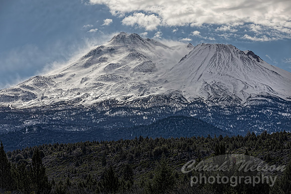 #749A - MT SHASTA - WINDBLOWN (1:1.5)