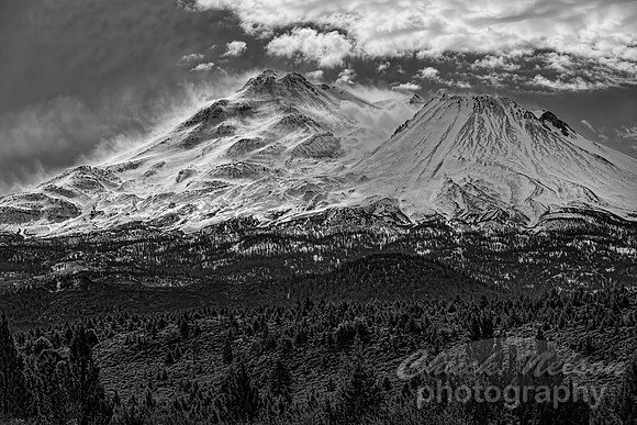 #749B - MT SHASTA  - WINDBLOWN BLACK AND WHITE (1:1.5)