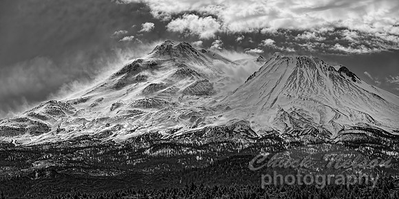 #749C - MT SHASTA - WINDBLOWN BLACK AND WHITE (1:2)