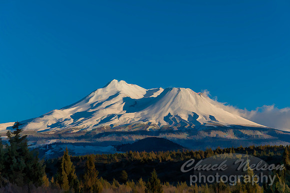 #750B - MT SHASTA - PAINTERLY (1:1.5)