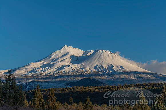 #750A - MT SHASTA (1:1.5)