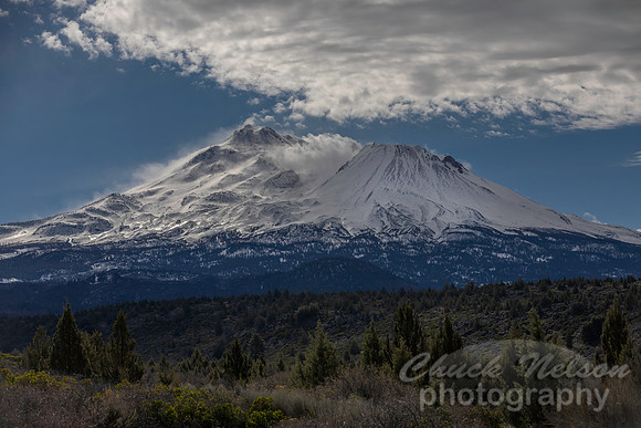#751A - MT SHASTA - WINDBLOWN (1:1.5)